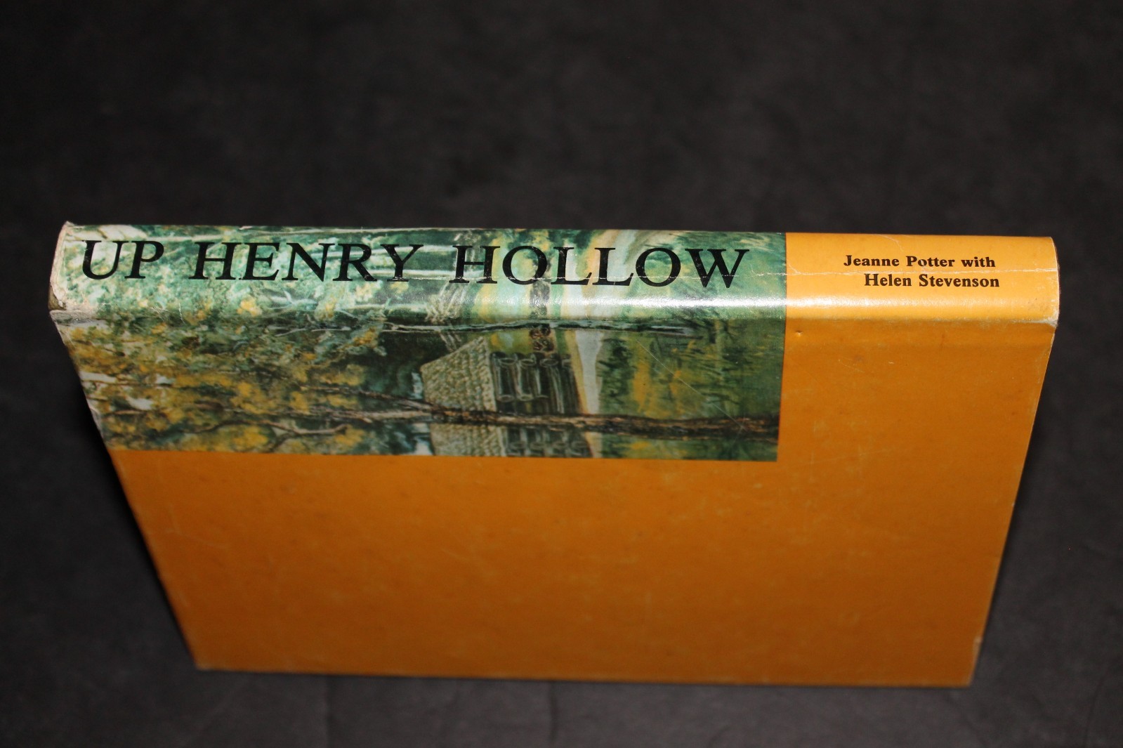 (1979 HB First Edition) UP HENRY HOLLOW southwest Virginia