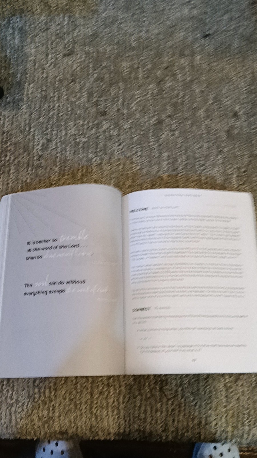 The Awe of God by John Bevere Bible Study Guide (2023) [VG]
