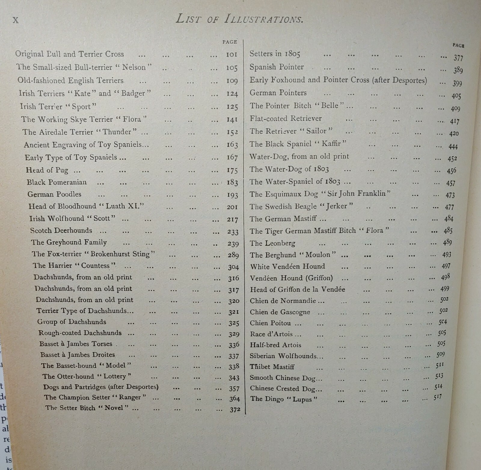 1984 REPRINT 1879-1881 CLASSIC ENCYCLOPEDIA OF THE DOG by VERO SHAW Art History