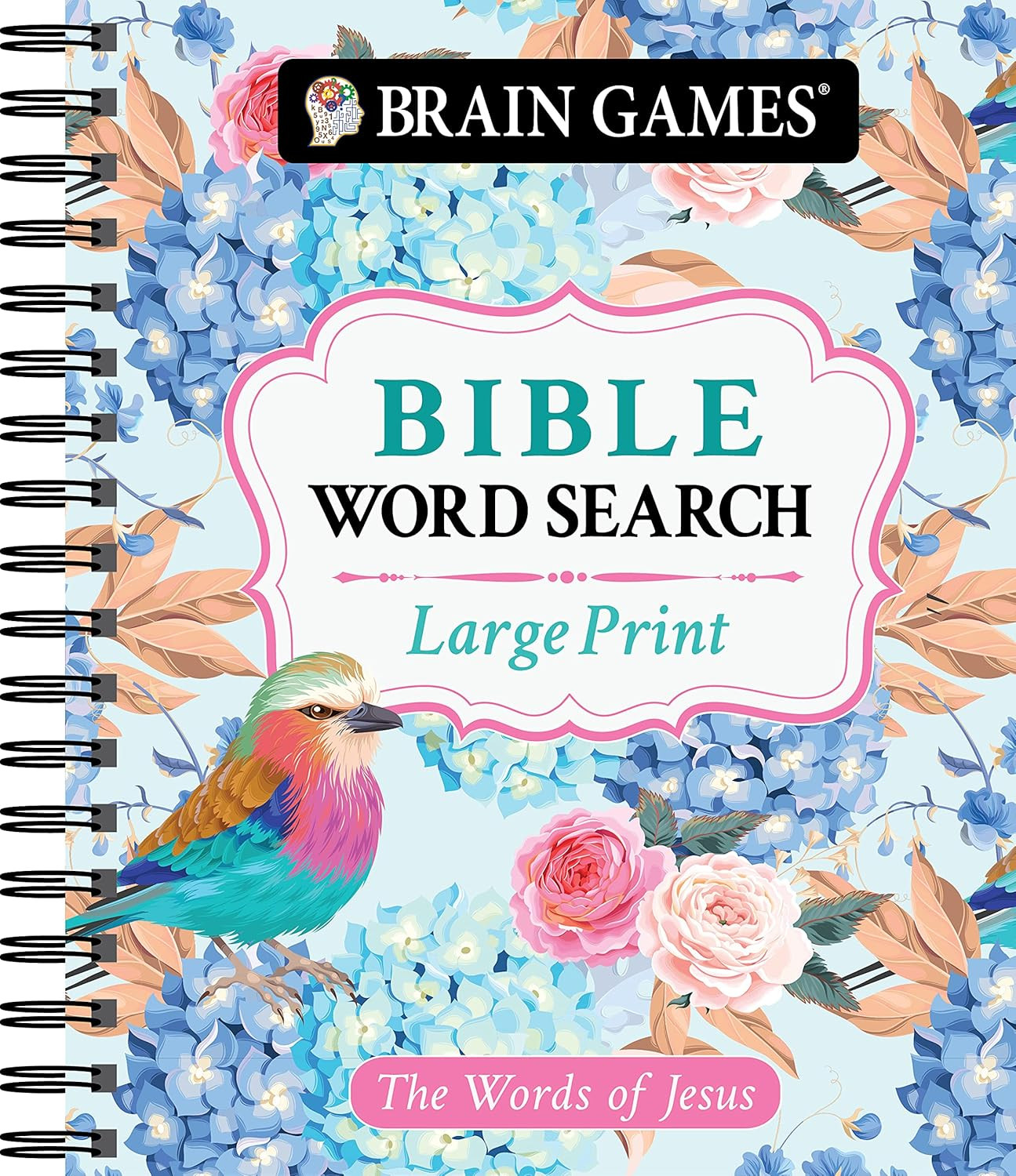 Brain Games – Large Print Bible Word Search: The Words of Jesus (Brain Games – B