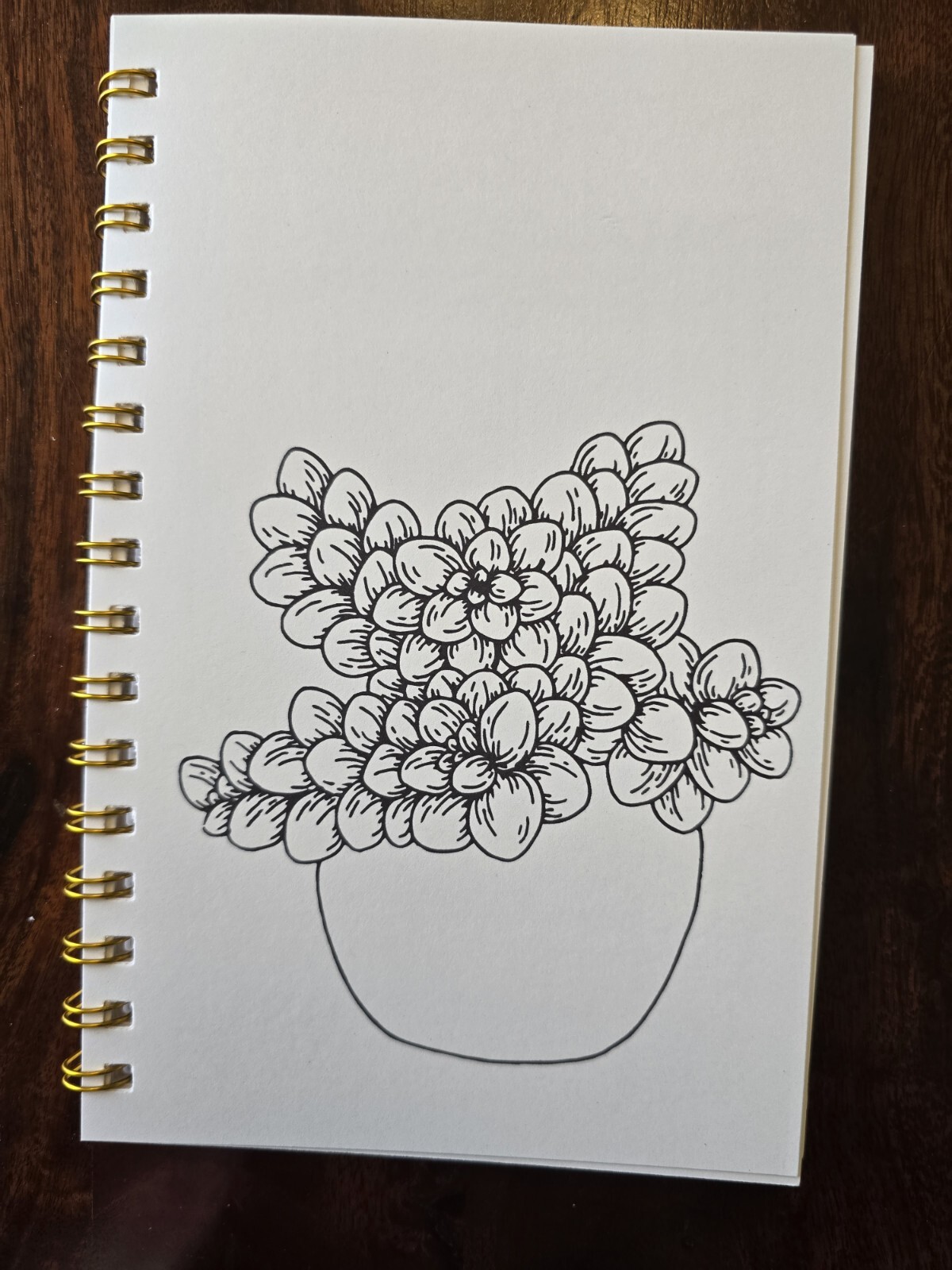 House Plants Coloring books for adults. A5 Size Coloring Book 8.5 in X 5.5 in.