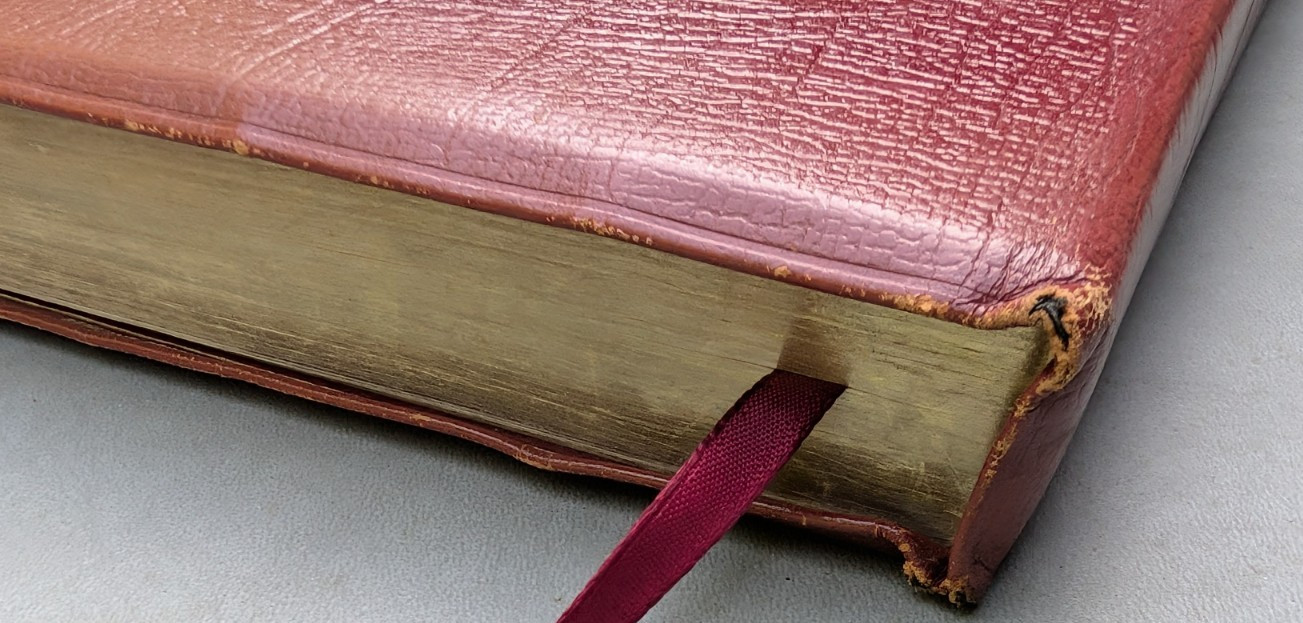 NEW SCOFIELD REFERENCE EDITION Red Cowhide Leather Bible KJV 1969 Oxford