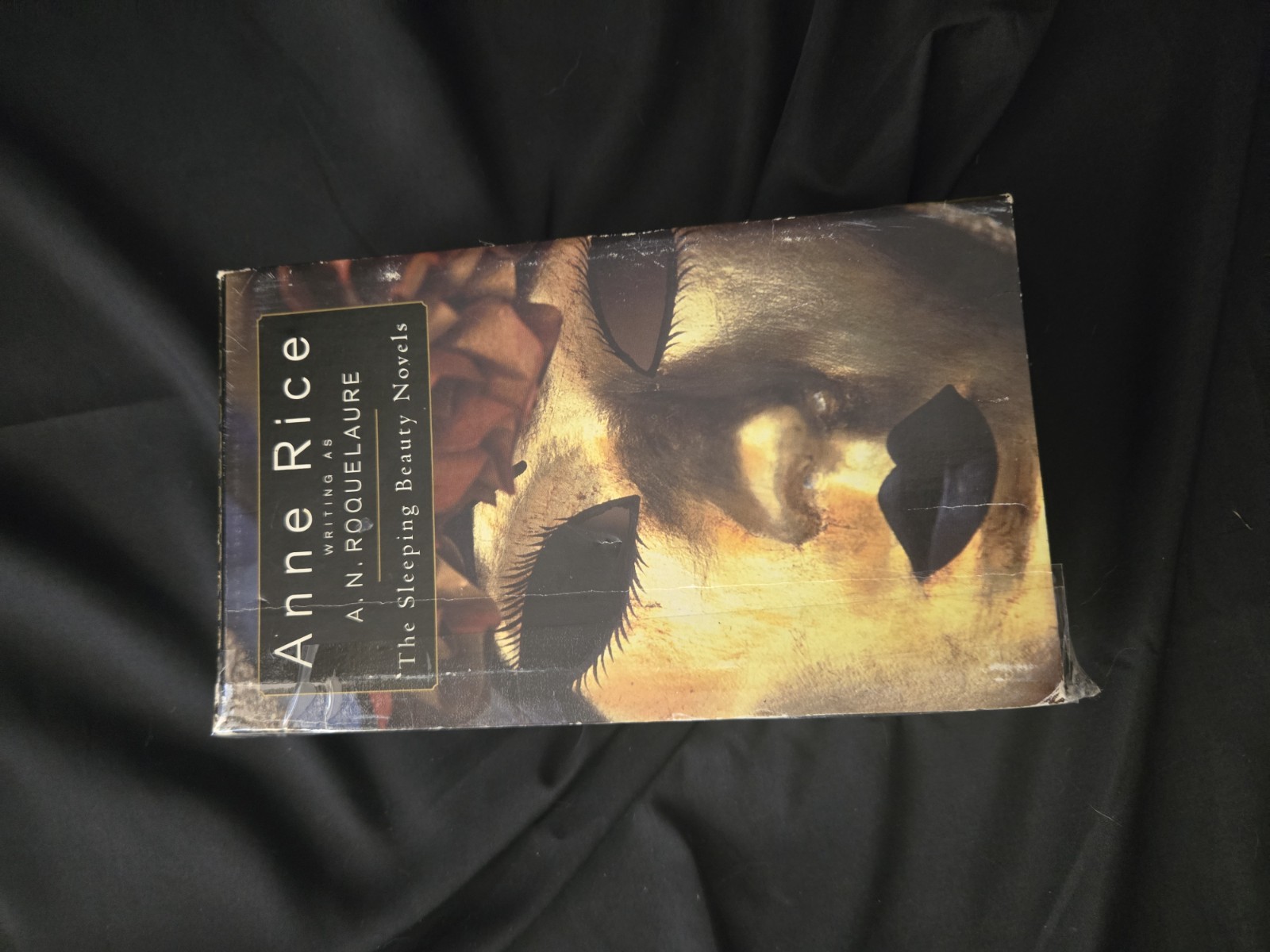 Anne Rice Sleeping Beauty Novels Erotic Trilogy Box Set A.N. Roquelaure NEW!