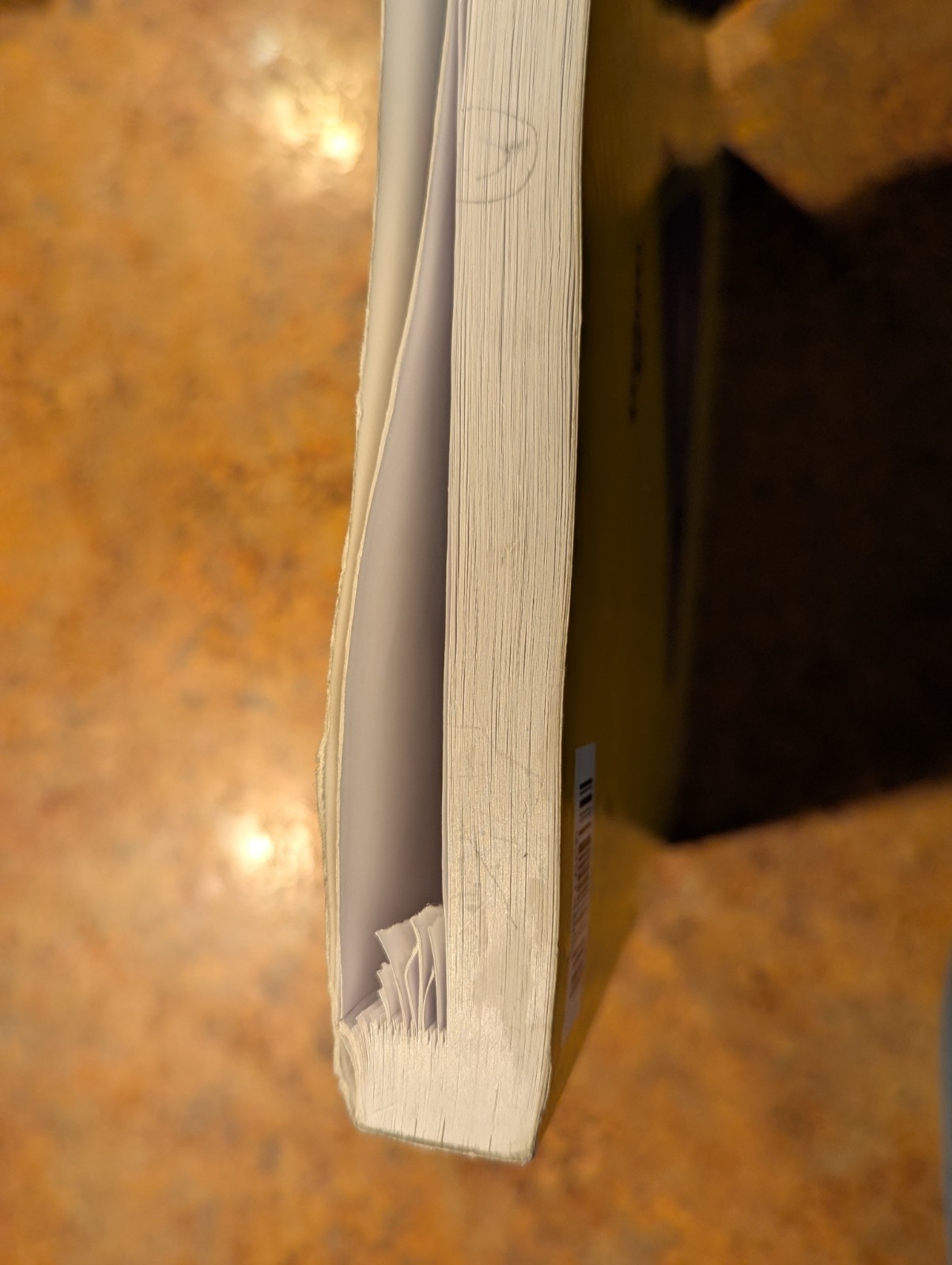 Abeka Arithmetic 4 Work Text, 5th Edition 2022, final 200 pages only. No Writing
